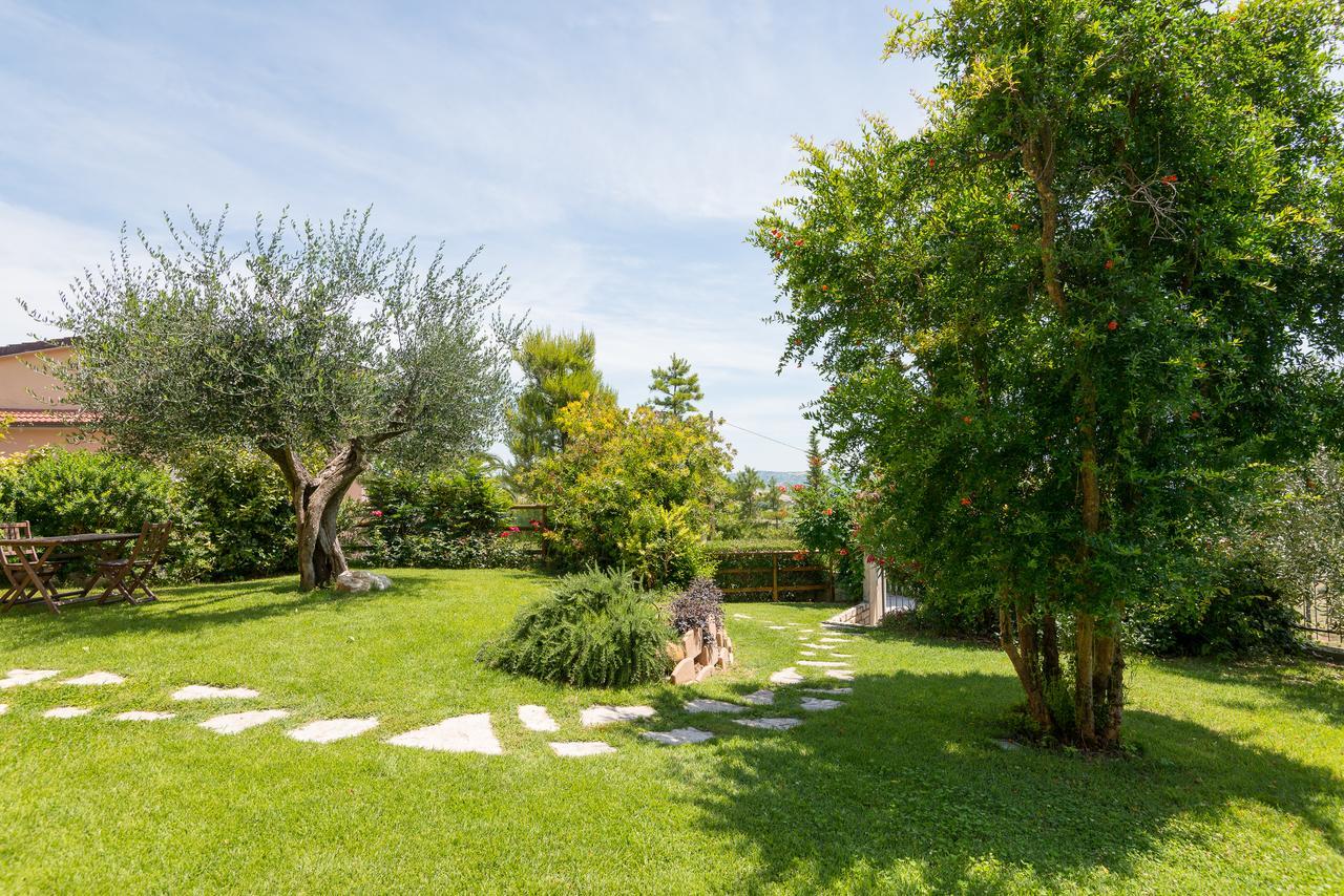 B&B Terramare Castorano  Εξωτερικό φωτογραφία